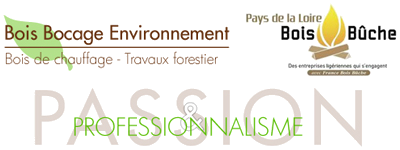 Travaux forestiers Chemille - Bois de chauffage Montfaucon-sur-Moine