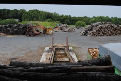 Bois de chauffage 33 cm à Coron 49, Cholet, Maine et Loire